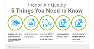 Indoor Air Quality Matters: How Mold Inspection Enhances Your Home Environment