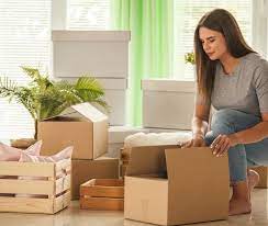 A Smooth Transition: How Professional Movers Make Relocation Effortless