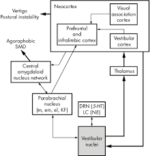 The Connection between Vestibular Dysfunction and Anxiety: Exploring Treatment Options