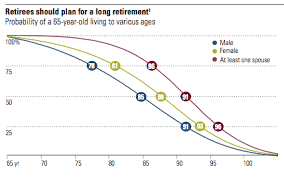 Longevity Risk: Planning for a Longer Retirement