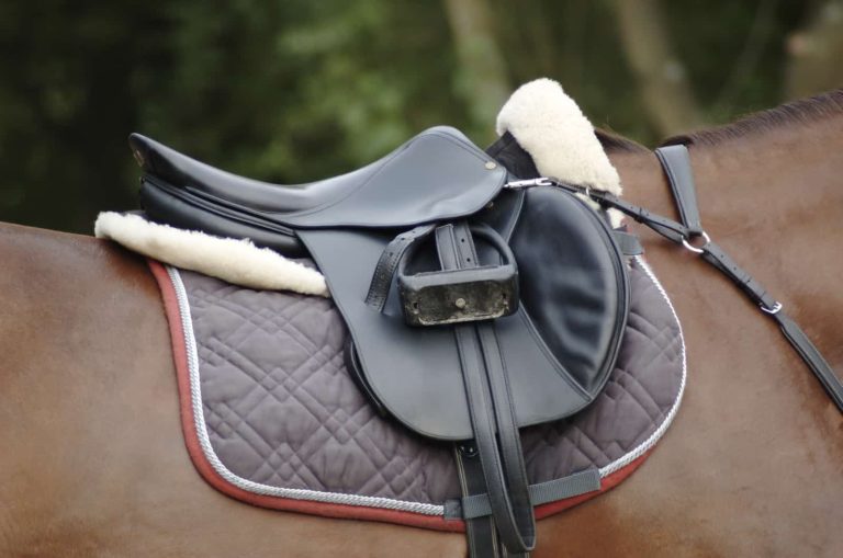 Achieving Equestrian Excellence: The Mastery of English Jump Saddles
