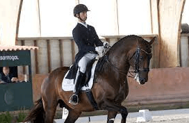 Mastering the Art of Horse Riding Commentary: Tips and Techniques
